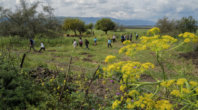 מזג אוויר חורפי ושמשי (צילום: מיכאל גלעדי, פלאש 90)