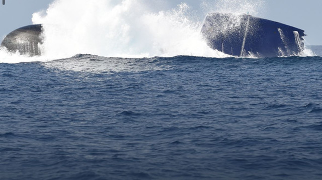 צוללת של חיל הים  (צילום: דובר צה"ל)