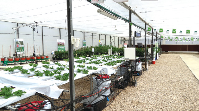 קבוצת חיפה (צילום: באדיבות קבוצת חיפה)