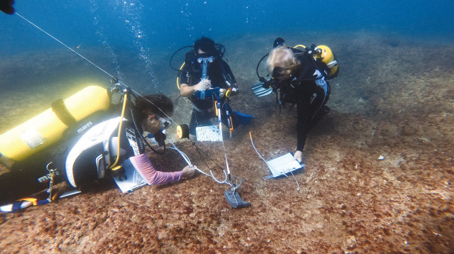 פרויקט "מדע אזרחי" (צילום: עודד וינר)