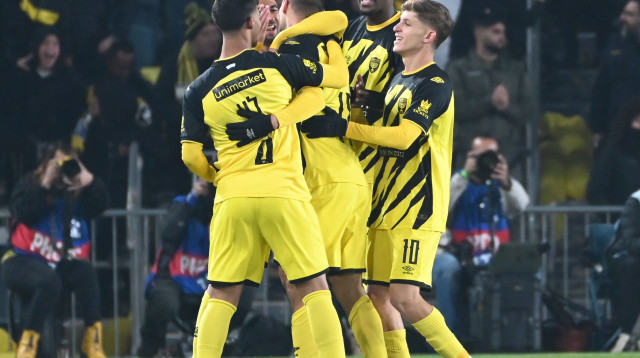 שחקני בית"ר ירושלים (צילום: ברני ארדוב)