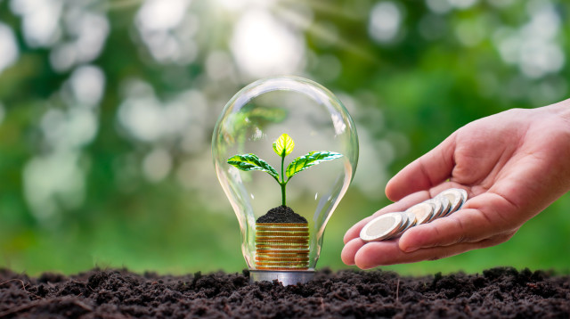 מומחית הנדל"ן הדר ברוקנשטיין בוחנת את האתגרים ברכישת קרקע חקלאית שטרם הופשרה לבנייה (צילום: depositphotos)