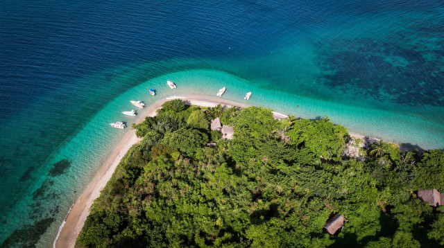 מדקסגר  (צילום: קמינוס)