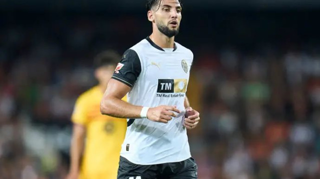 העיקר שהאמת תצא לאור. רפא מיר (צילום: אימג'בנק  GettyImages, Aitor Alcalde Colomer)