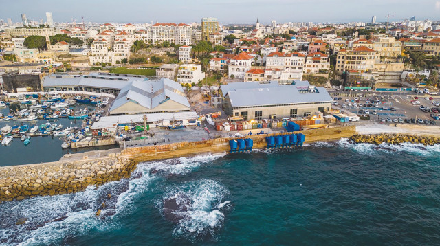 תחנת הכוח, חברת Eco Wave Power (צילום: באדיבות החברה)