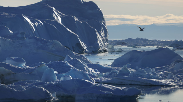 הקוטב הצפוני, בדרך להיעלם (צילום: Sean Gallup/GettyImages)