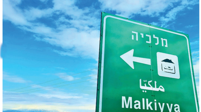 מלכיה (צילום: סיון שושני)