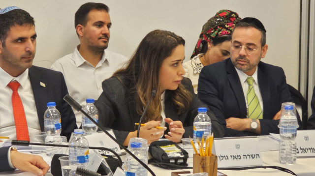 השרה מאי גולן (צילום: ללא קרדיט)