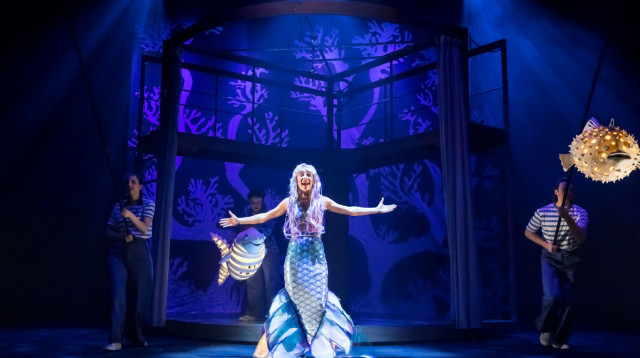 בת הים הקטנה (צילום: כפיר בולוטין)