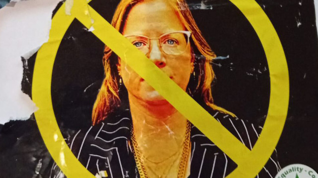 פוסטר נאצה כנגד שגרירת ישראל באירלנד, דנה ארליך (צילום: פרטי)