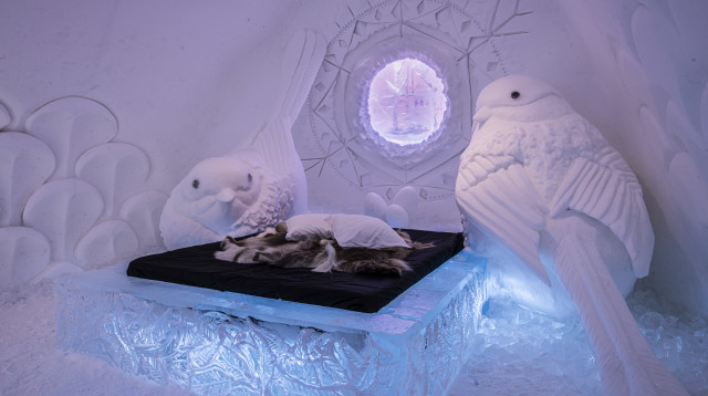 Come Warm Up, Isabelle Gasse & Joelle Gagnon, ICEHOTEL 35 (צילום: אסף קליגר)