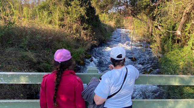 שמורת נחל דן (צילום: אבשלום ששוני)