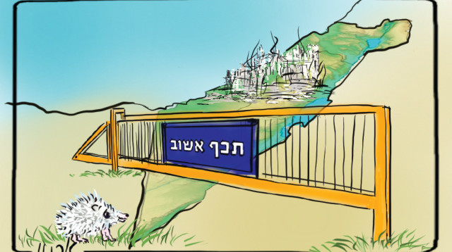 צפו בסדרות התאגיד: בקרוב כבר לא יהיה אפשר | מידן בר (צילום: איור: ארנון קרמר)