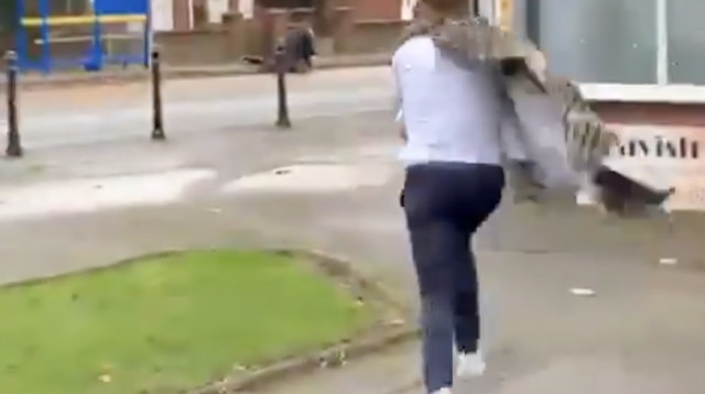 הציל חיי אדם זר (צילום: צילום מסך)