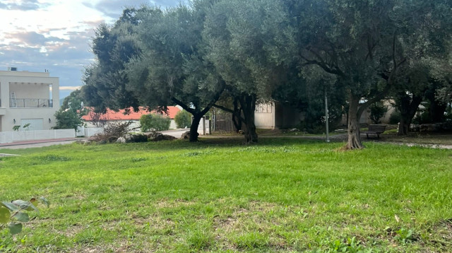 קיבוץ מצובה (צילום: שקד שדה)