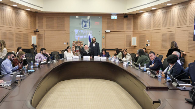 ועדת העבודה והרווחה (צילום: דוברות הכנסת, דני שם טוב)