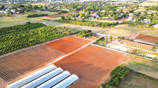 חקלאות בצפון (צילום: עומר פישמן, פלאש 90)