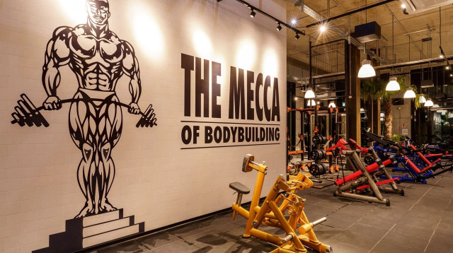 goldsgym (צילום: יח"צ)