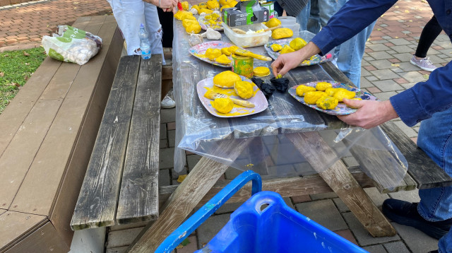 מרכז האקדמי לוינסמיצב אבנים צהובות למען החטופים, המרכז האקדמי לוינסקי־וינגייטקי־וינגייט (צילום: יח"צ)