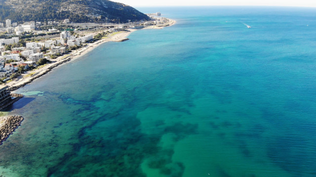 צילום רחפן של שונית בת גלים (צילום: וולטר נצר)