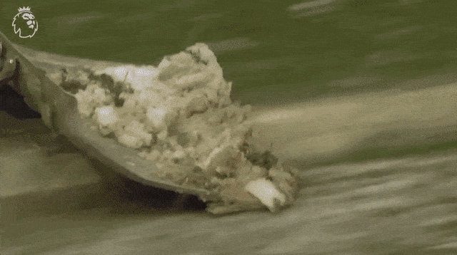 כתבה לקראת הבוקסינג דיי (צילום: אתר רשמי, ספורט1)