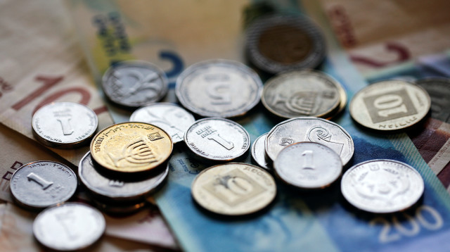 שקלים (צילום: REUTERS/Nir Elias/Illustration)