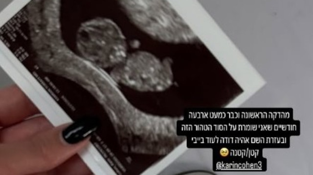 הסטורי של קארין כהן (צילום: מתוך אינסטגרם)