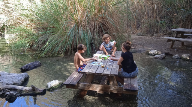 עינות צוקים (צילום: איגור וסרמן)