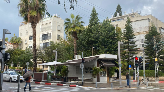 חורף בתל אביב (צילום: אבשלום ששוני)