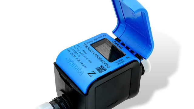 מד סונטה לורה (צילום: יחצ)