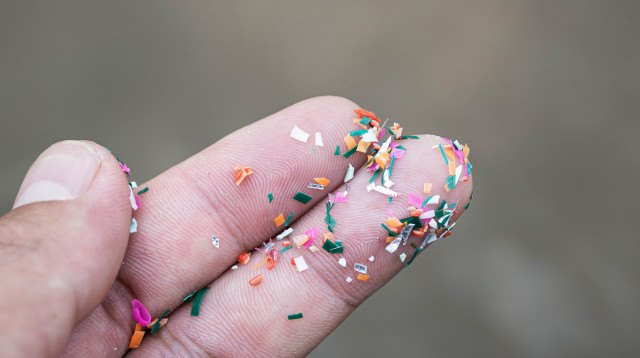 מיקרופלסטיק, אחת הסכנות הגדולות (צילום: אינגאימג)