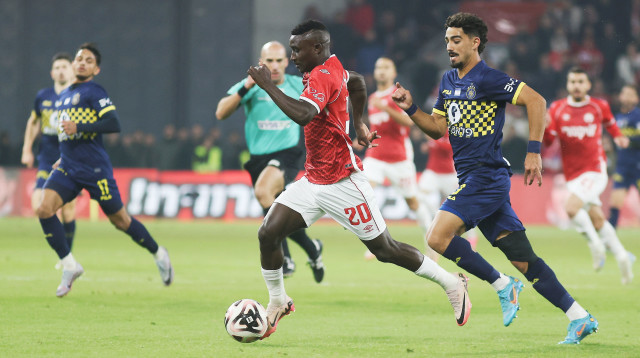 רוי רביבו, קינגס קאנגווה (צילום: קובי אליהו)