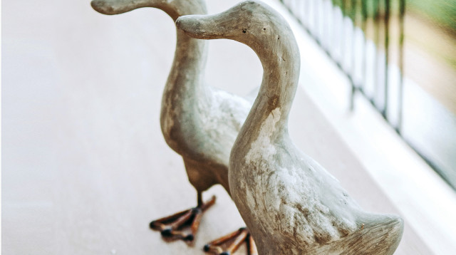 פסל ברווז (צילום: אינג אימג')