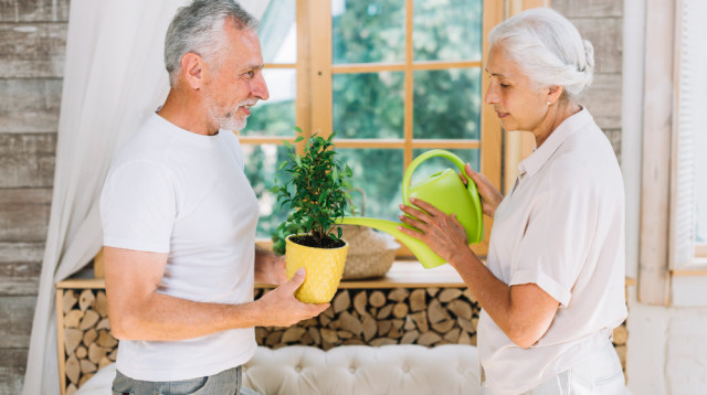 הפתרון הכלכלי לגיל השלישי: כל מה שצריך לדעת על משכנתא הפוכה (צילום: FREEPIK)