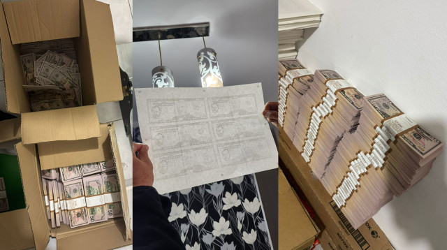 השטרות המזויפים שנתפסו (צילום: דוברות המשטרה)