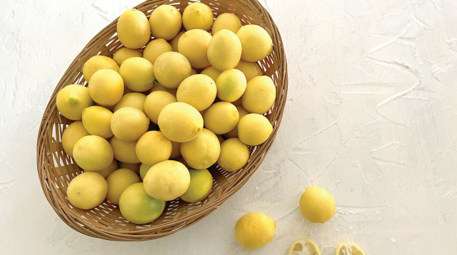 לימונים (צילום: פסקל פרץ-רובין)