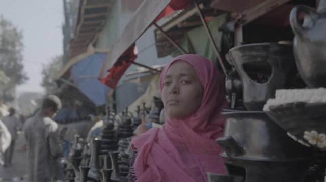 מנהיגות בצל (צילום: באדיבות כאן)