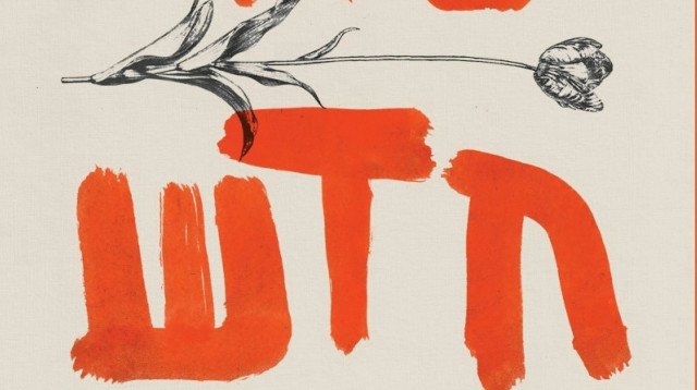 סדר חדש - אבנר וישניצר (צילום: יחצ)