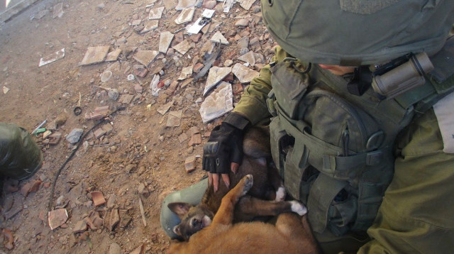 א׳ מפקדת בברדלס (צילום: פרטי)