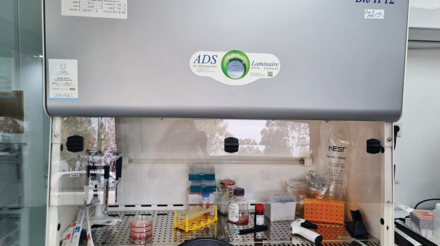 חממת הפודטק Fresh Start (צילום: Fresh Start)