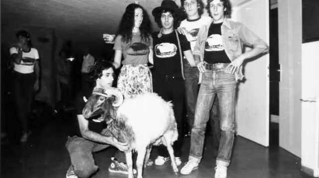 הכבש השישה-עשר (צילום: שאול גולן)