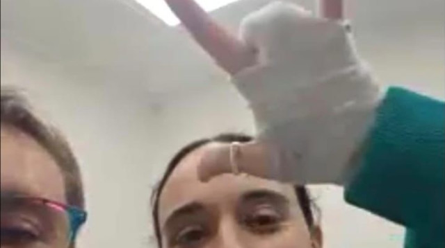 אמילי דמארי (צילום: באדיבות המשפחה)