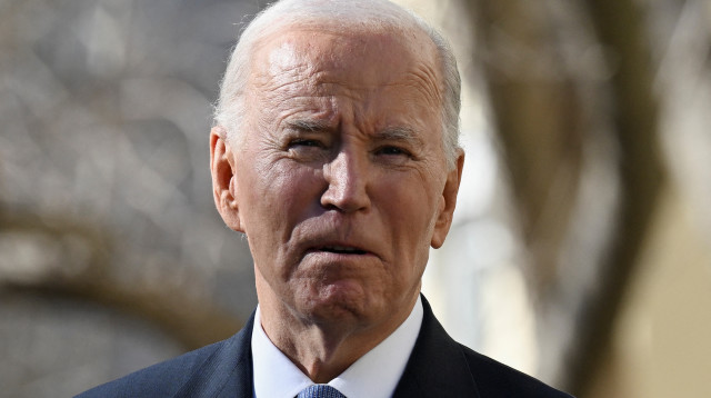 ג'ו ביידן (צילום: REUTERS/Annabelle Gordon)