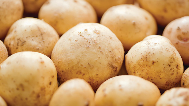 תפוחי אדמה (צילום: אינגאימג')