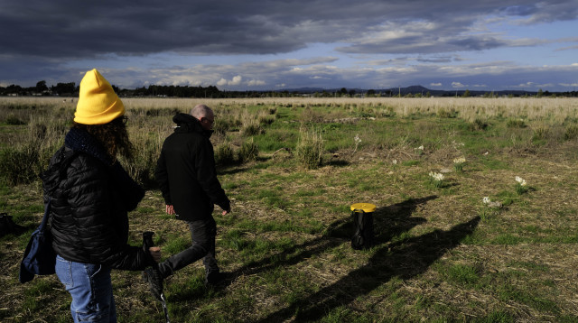 ישראלים מטיילים ברמת הגולן (צילום: מיכאל גלעדי, פלאש 90)
