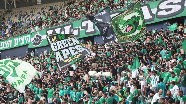 אוהדי מכבי חיפה (צילום: דני מרון)