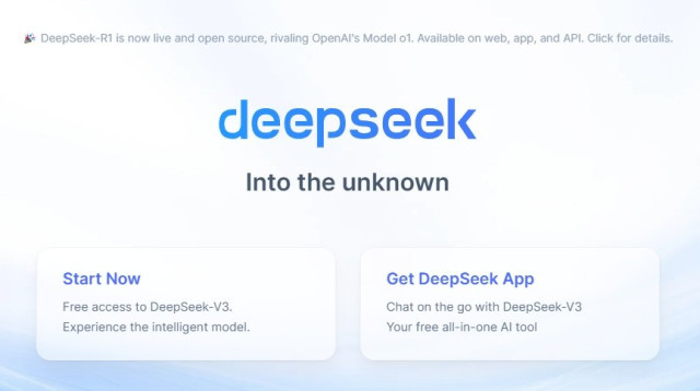 דיפסיק (צילום: צילום מסך)