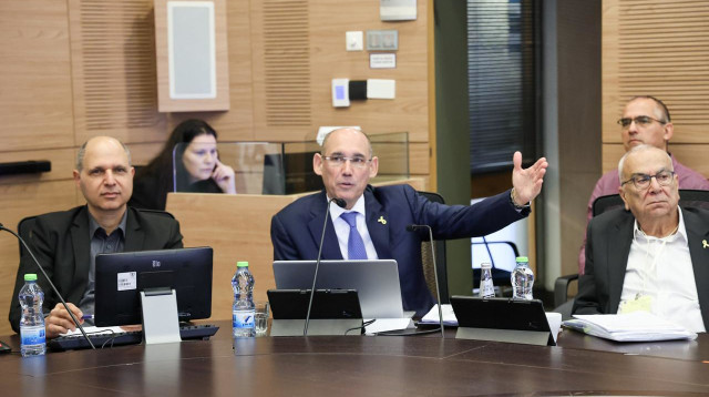 ועדת הכספים (צילום: דני שם טוב, דוברות הכנסת)