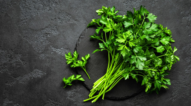 פטרוזיליה (צילום: אינגאימג')