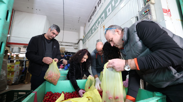 אריזת סלי מזון לחלוקה בעמותת בית לחם יהודה (צילום: קובי הר צבי )